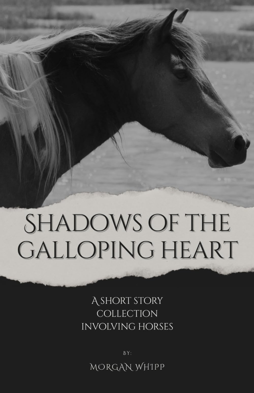 Shadows of the Galloping Heart: A short story collection involving horses