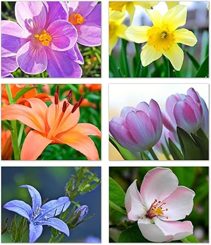Small World Greetings Spring Flowers Notecards 24 Count - Blank Inside With Envelopes - A2 Size 5.5" X 4.25" - Floral Stationery - All Occasion Birthday, Thank You, And More #TOP10