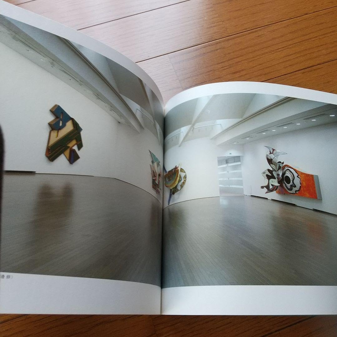 Amazon.co.jp: DIC 川村記念美術館 図録 : ホーム＆キッチン