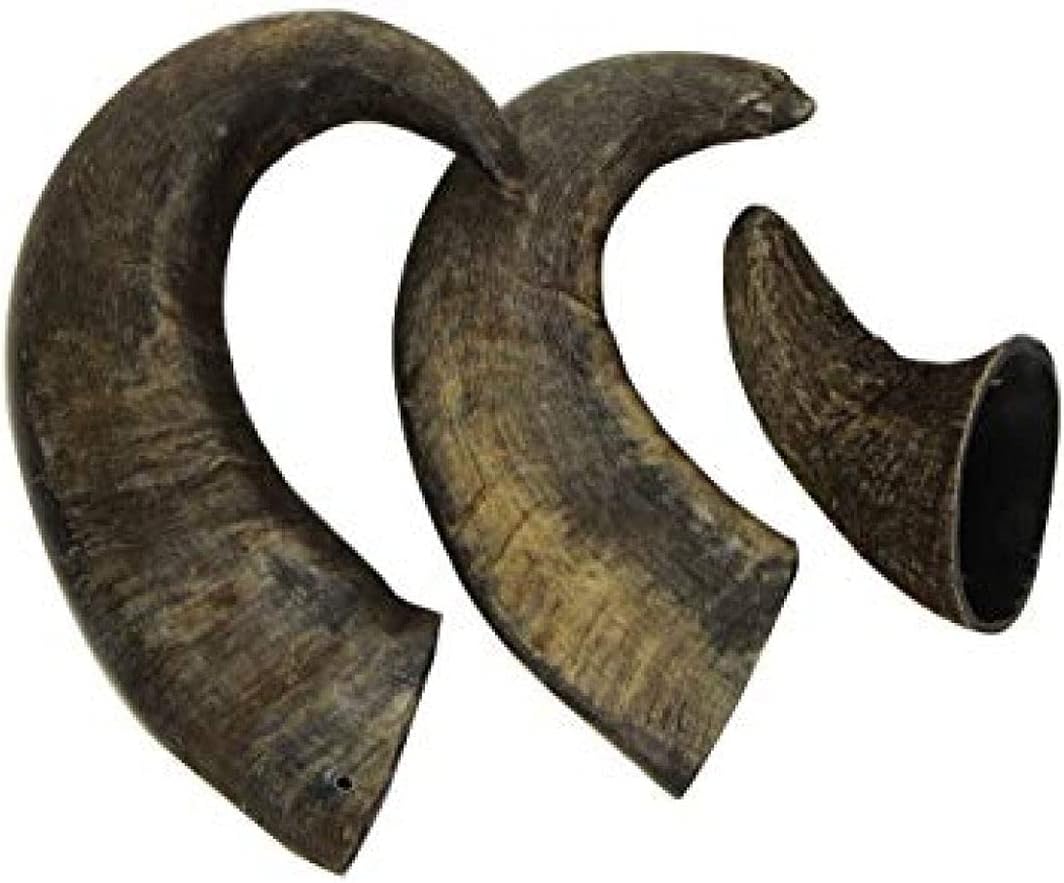 Sniffers Buffalo Horns 3pk, clear