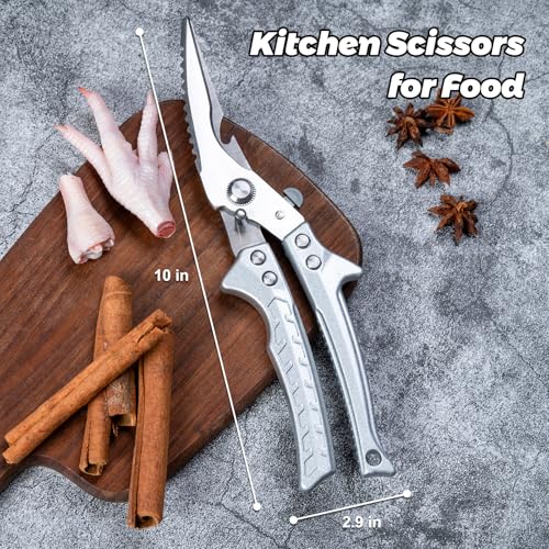 La Mejor Recopilación de Tijeras para aves que puedes comprar esta semana. 23 Imagen adicional