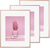 Vista 445 de Fun Memories Portarretratos de metal de 16 x 20 pulgadas con paspartú de 11 x 14 pulgadas, acabado de aluminio cepillado, parte delantera de vidrio