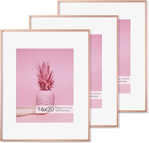 Miniatura 445 de Fun Memories Portarretratos de metal de 16 x 20 pulgadas con paspartú de 11 x 14 pulgadas, acabado de aluminio cepillado, parte delantera de vidrio