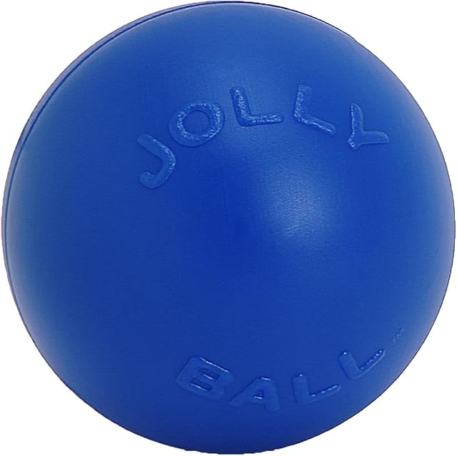 Jolly Pets Push-n-Play Dog Toy, 25 cm, Blue