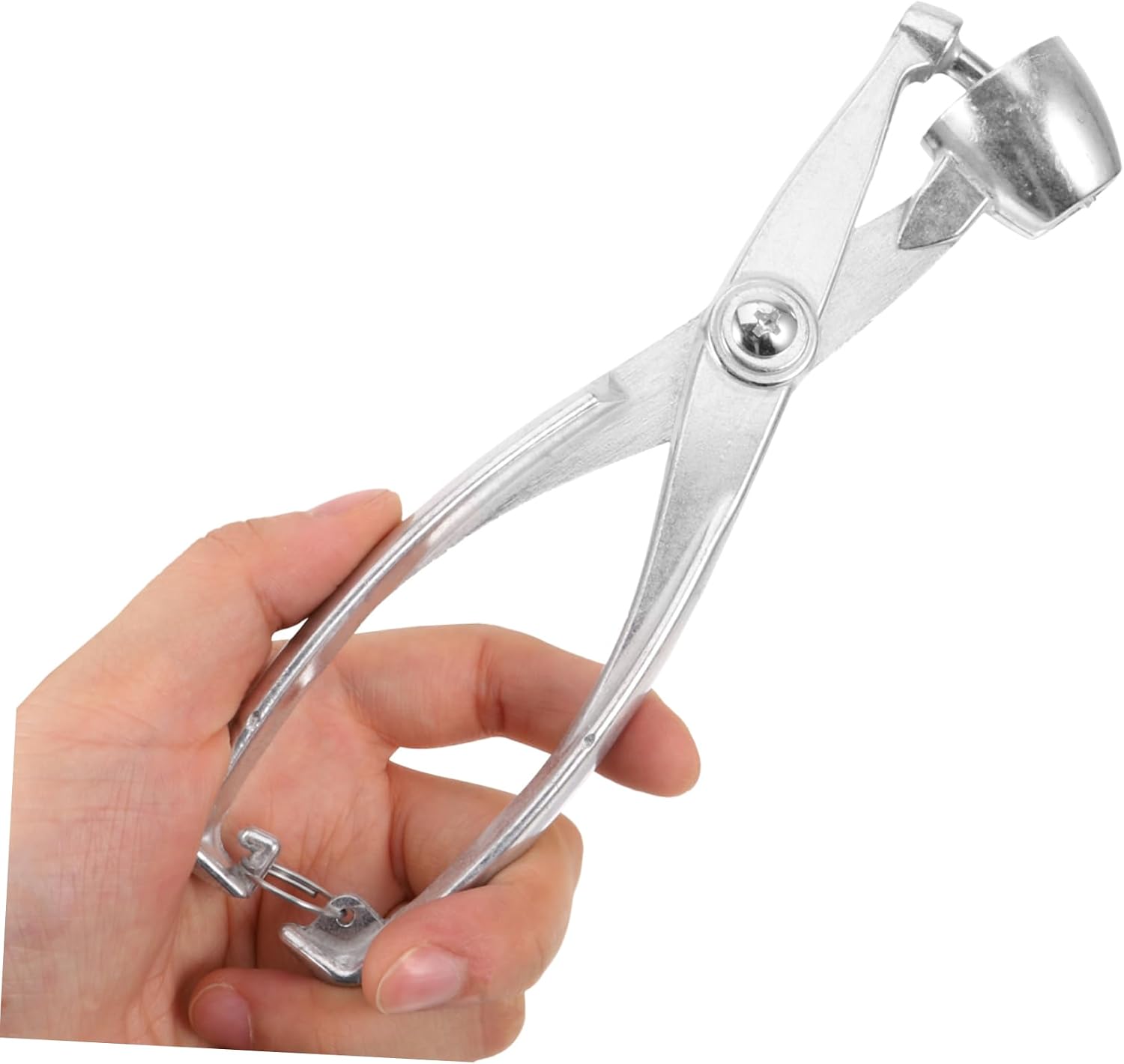 Cherry Pitter Household Pitter for Dates Cherries Wear-resistant Core Remover