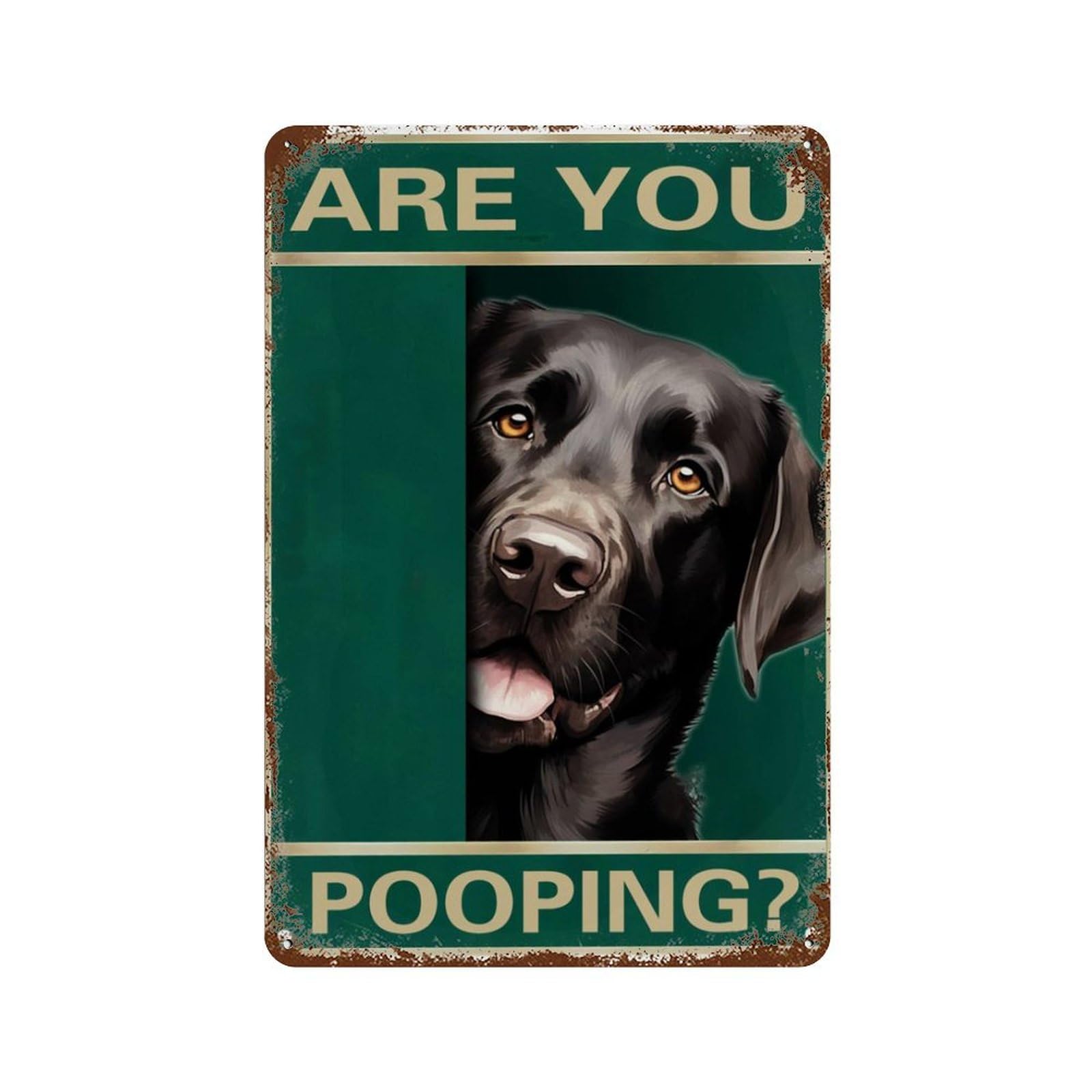 Preeklen Tin Sign 222 Funny Tin Sign Vintage Labrador Retriever Are You Pooping Sign Bathroom Funny Retro Vintage Aluminum Sign For Home Garden Coffee Wall Decor Metal Tin Sign 8X12 Inch