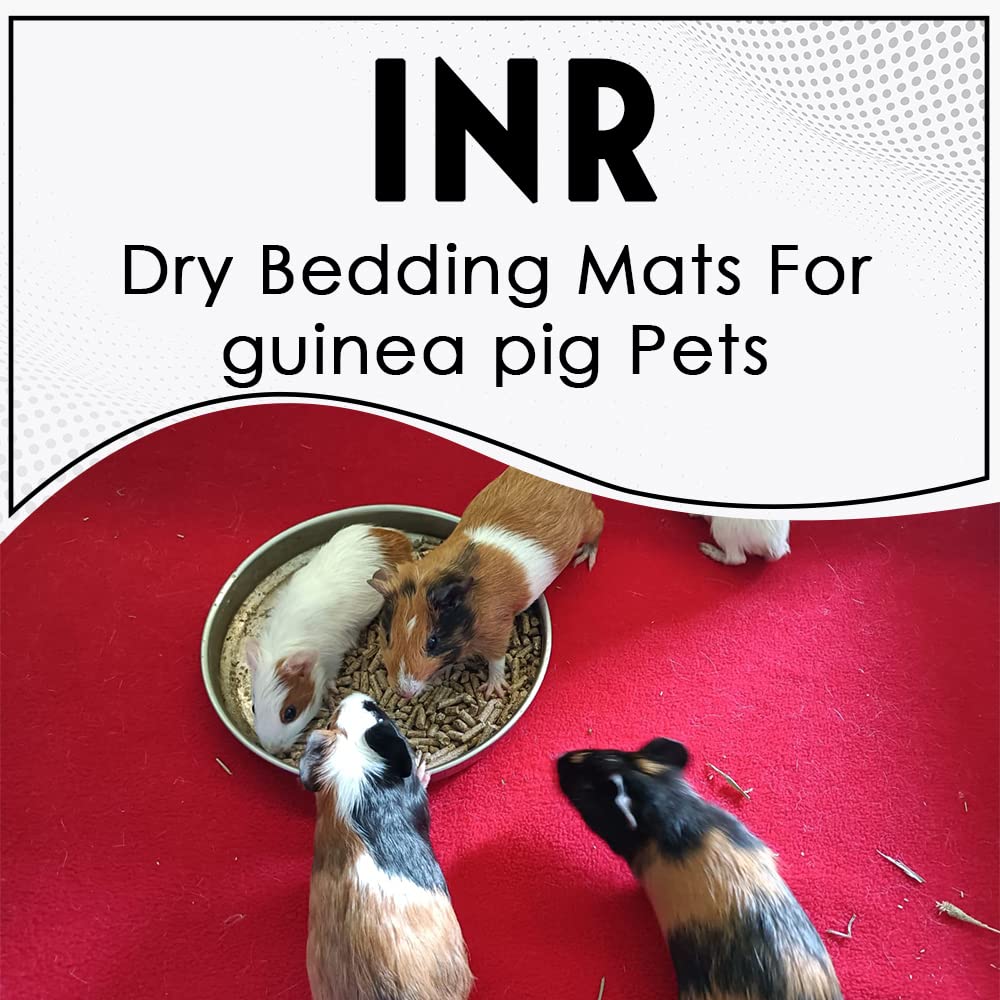 INRs Farm Fresh Rabbit // Guinea Pig // Small Pets//Birds - Bedding Litter Liners (M Size) - 70 Cms X 100 Cms (B0C2HYXJF1) Amazon Price History, Amazon Price Tracker