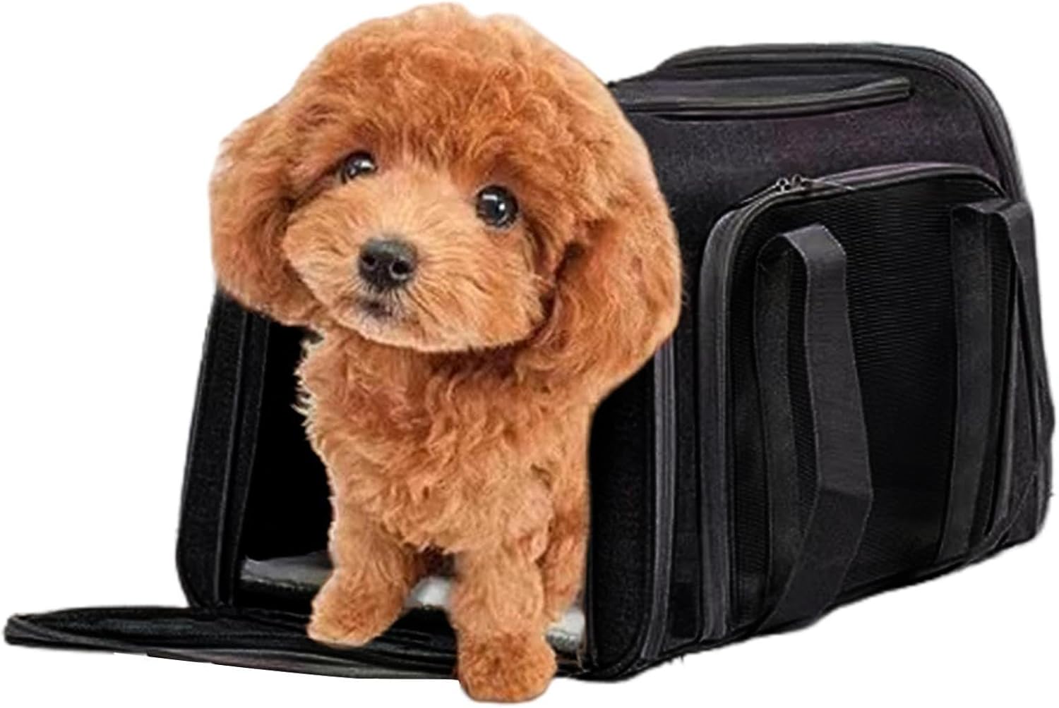 Carriers for Small Dogs | Foldable Portable Safe Pet Transport Tote - Animal Carrier Travel Shoulder Bag - for Camping Walking Picnic Vacation Holiday