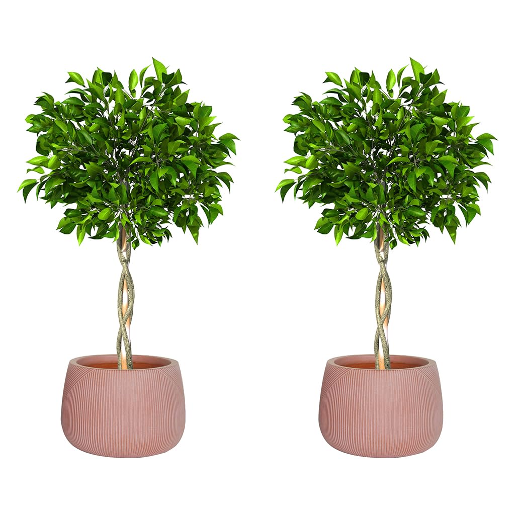 Dibor Fibre Clay Plant Pots Set of 2 Outdoor 42cm Modern Rippled Finish Flower Pot Planters Patio Doorstep Porch Tree Shrub Topiary Bush Entryway Plant Pot Clay Planters (Terracotta, Medium 30L) โ image 1