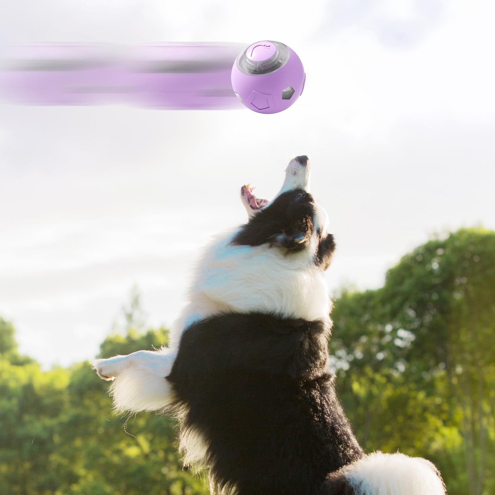 Palla Interattiva Automatica Per Cani E Gatti, Con Luce LED, Movimento Intelligente E Silenziosa (<25 DB). Ricaricabile USB-C, Stimola L'inseguimento E Il Gioco Attivo