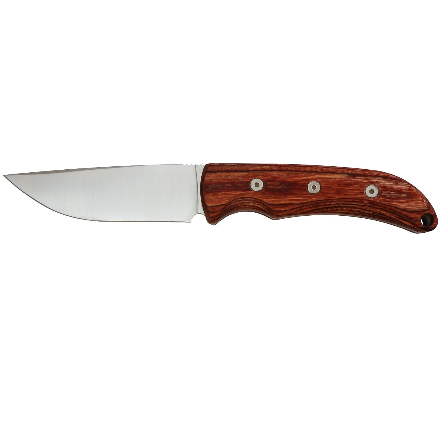 Ontario Robeson Drop Point Hunter