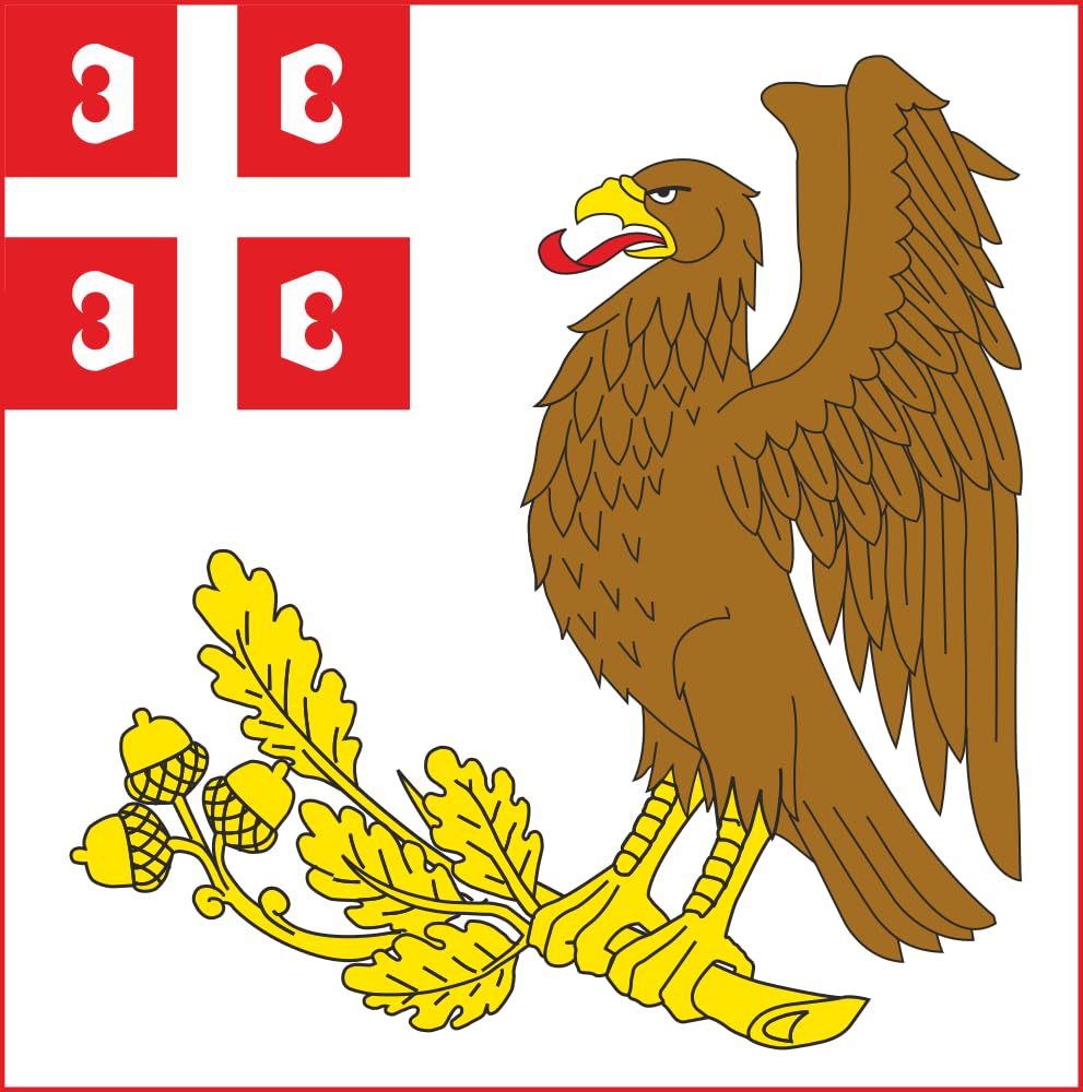 Drapeau de Kragujevca 1.35m² pavillon carré 120x120cm insigne de ville serbe