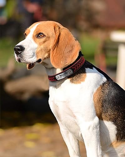 Miniatura 3 de TagME Collares de perro personalizados para cachorros y perros pequeños, collar de perro personalizado con placa de nombre, collares de