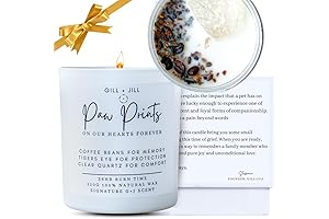 Pet Memorial Candle | Comforting Cat Passing Away Gifts