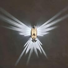 Animals LED Wall Light, Bald Eagle Wall Light,Owl Wall Light, Printed Eagle Wall Decoration Wall Light LED Animal Wall Light,Animal Wall Lamp for Bedroom, Living Room, Hallway