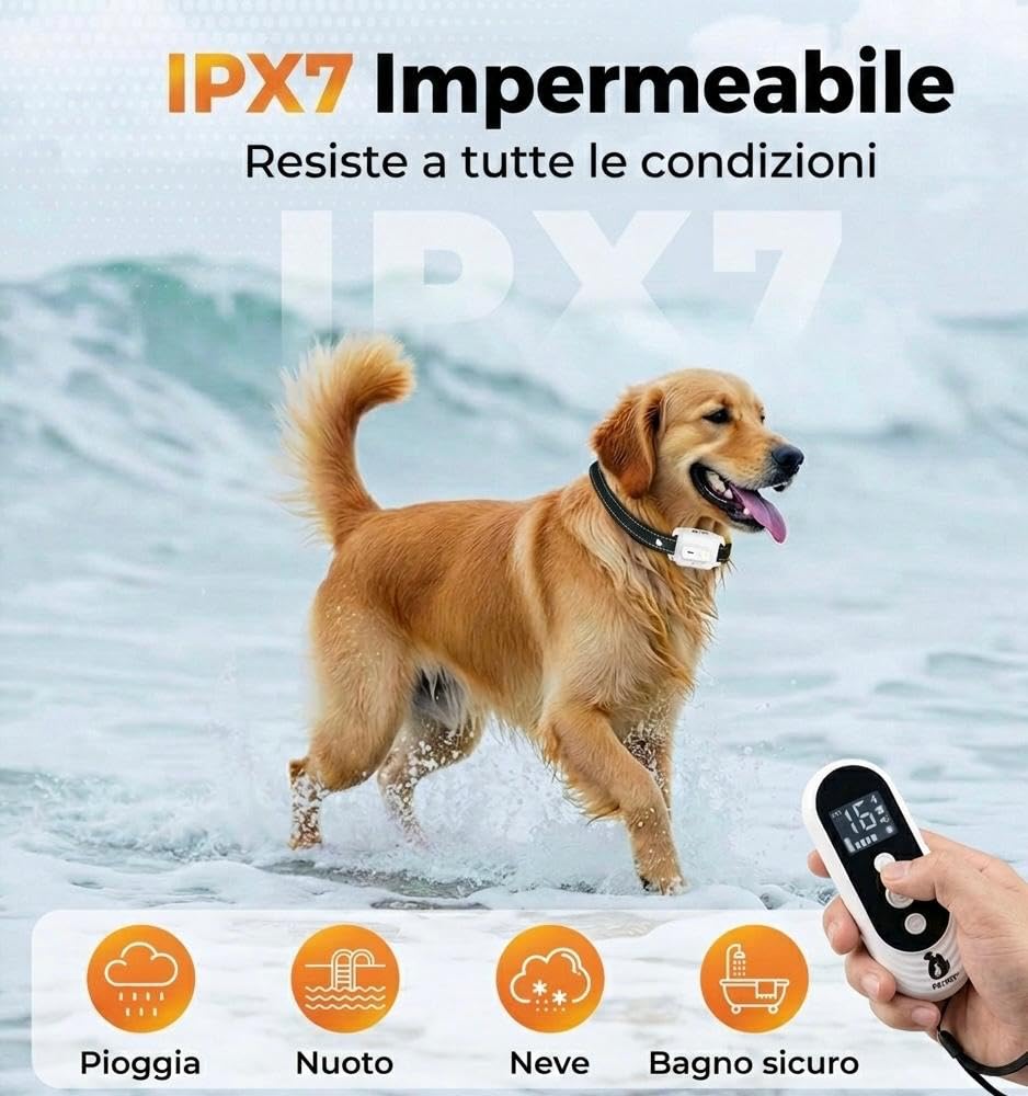 Collier pour Chien avec Télécommande, Portée jusqu’à 3 km, Fonctions Sonores, Vibration et Lumière, 4 Modes Personnalisables, Étanche IPX7, Rechargeable, pour Utilisation Quotidienne
