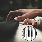 Piano Notes Guide for Beginner, Removable Piano Keyboard Note Labels for Standard Size 61/88 Key Pianos, No Need Stickers, Piano Accessories With Box (Classic Black)