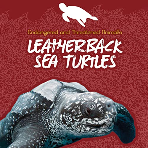 Leatherback Sea Turtles by Robert Mason, Jody S. Rake episode artwork