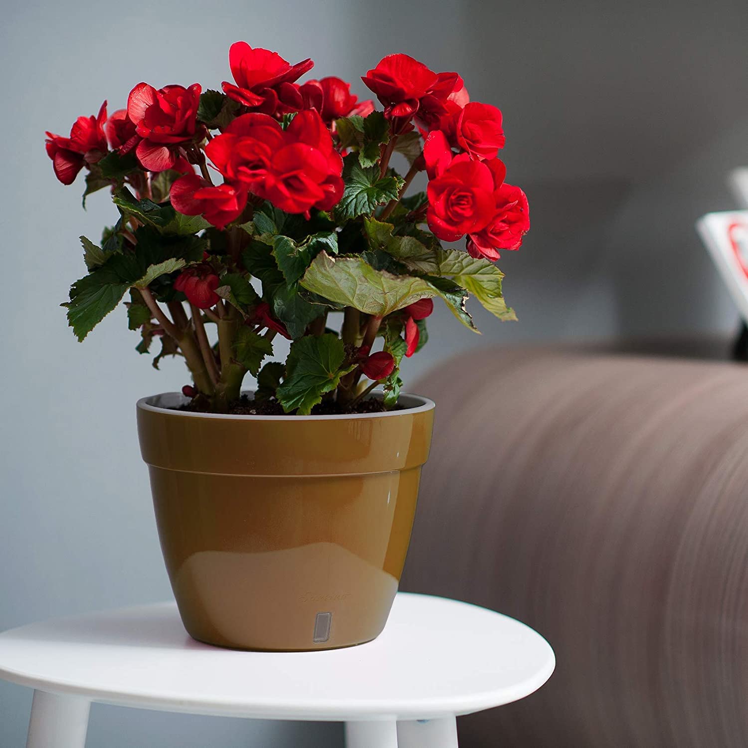 Santino ASTI18CM Selbstwässernder Blumentopf mit Wasserstandsanzeiger - Rund Premium Qualität Innen Blumentopf für Anlagen, Blumen, Kräuter (Ø 18 cm, H 14 cm, 2,5L - Gold/Black) - 4