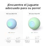 Ver la foto 7