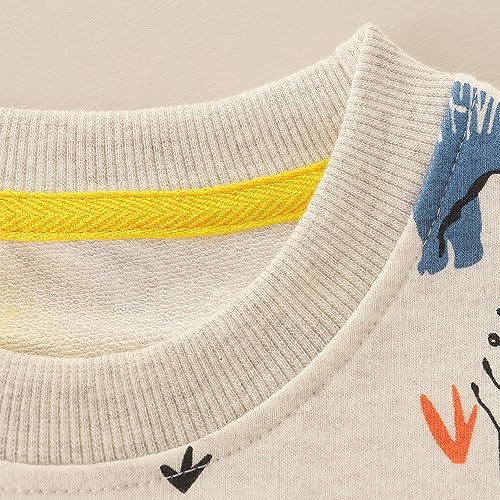 Image of GFQLONG 2 Pack Toddler Boys Long Sleeve Pullover Crewneck Tops Shirts, Cotton Warm Dinosaur Cartoon Sweatshirts,Blue+Gray,3-4T