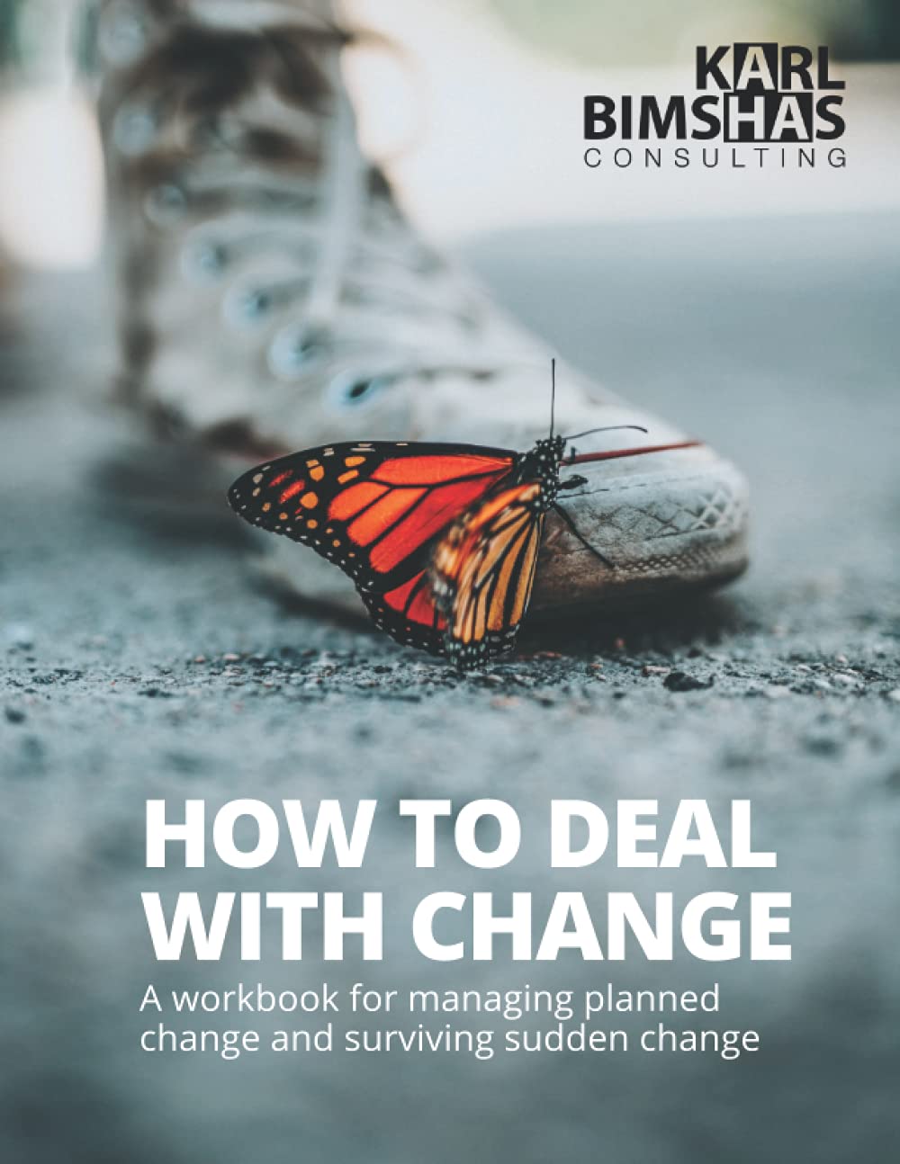 How to Deal with Change: A workbook for managing planned change and surviving sudden change