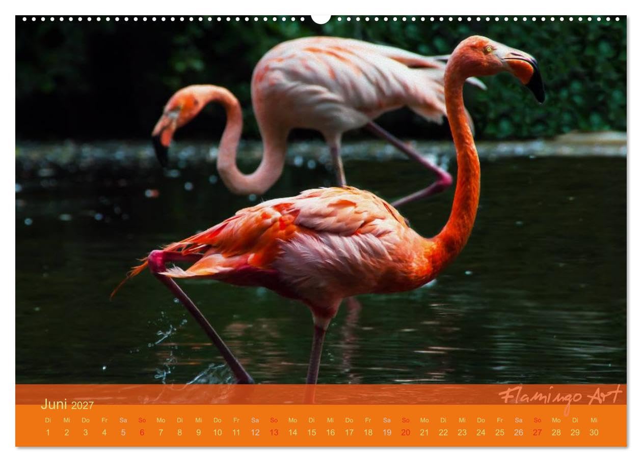 CALVENDO - Flamingo Art 2027 (Wandkalender 2027 DIN A2 quer), Monatskalender: Flamingo Art - Ein absoluter Blickfang im Büro und zu Hause