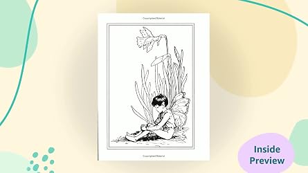 Flower Fairies of the Spring