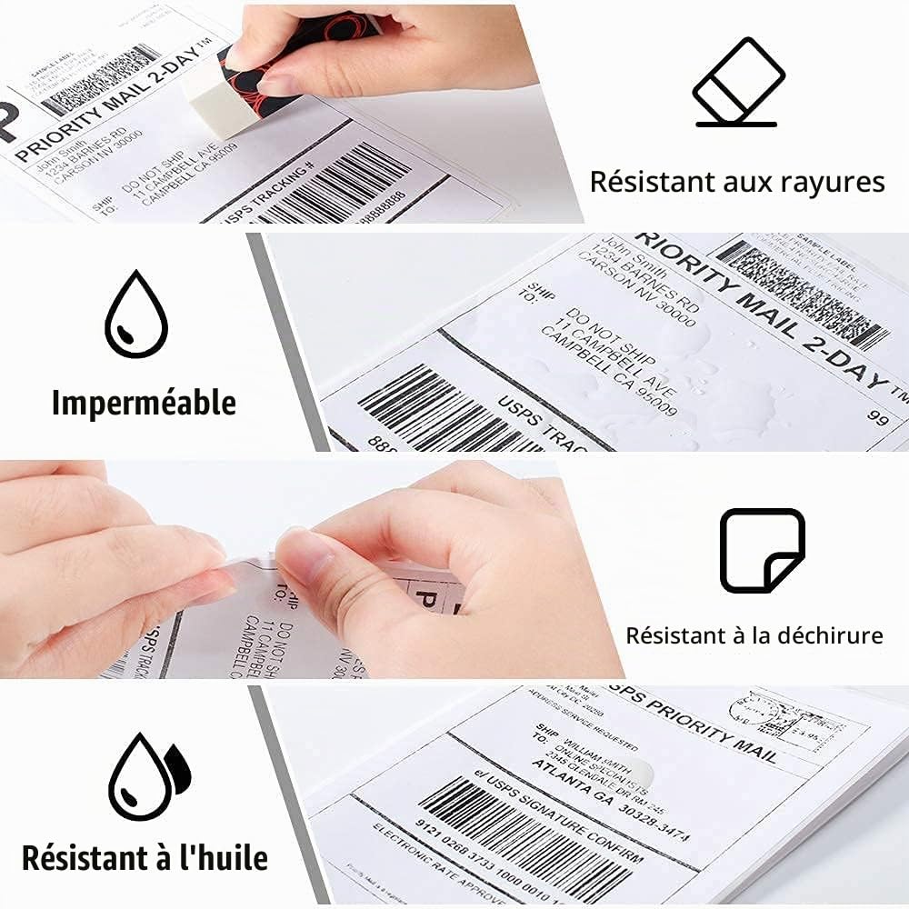Phomemo Kit d'Impression Thermique : Porte-Étiquettes 2-en-1 & 2 Rouleaux d'Étiquettes d'Expédition 4x6 (1000 Étiquettes) - Compatible avec MUNBYN, Phomemo, Rollo - Imperméable, Sans BPA