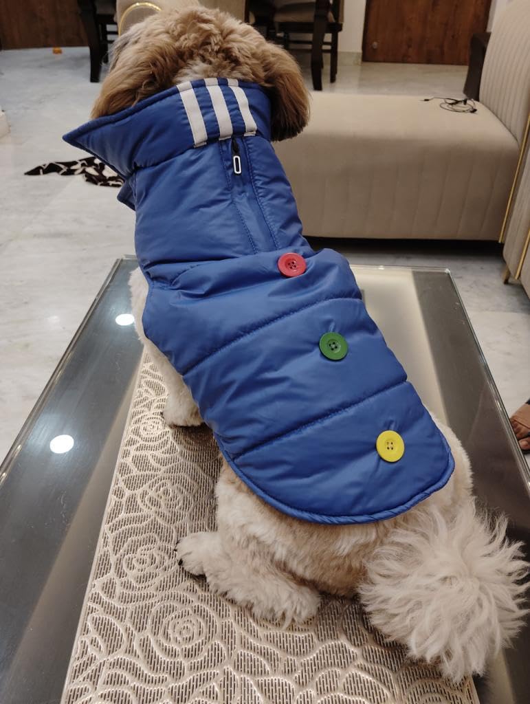 Golden Tails Windproof Warm Dog Winter Jacket| Reflective Cold Weather Coat | Waterproof Polar Fleece Lining Wind Breaker with Leash Hole Pet Warm Clothing-Medium (B0CP12XHW8) Amazon Price History, Amazon Price Tracker