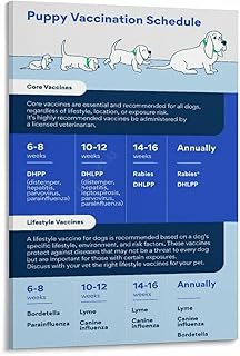 Puppy Vaccination Schedule Poster Pet Hospital Guide (4) Canvas Painting for Living Room Bedroom Decor 12x18inch(30x45cm) Frame-style