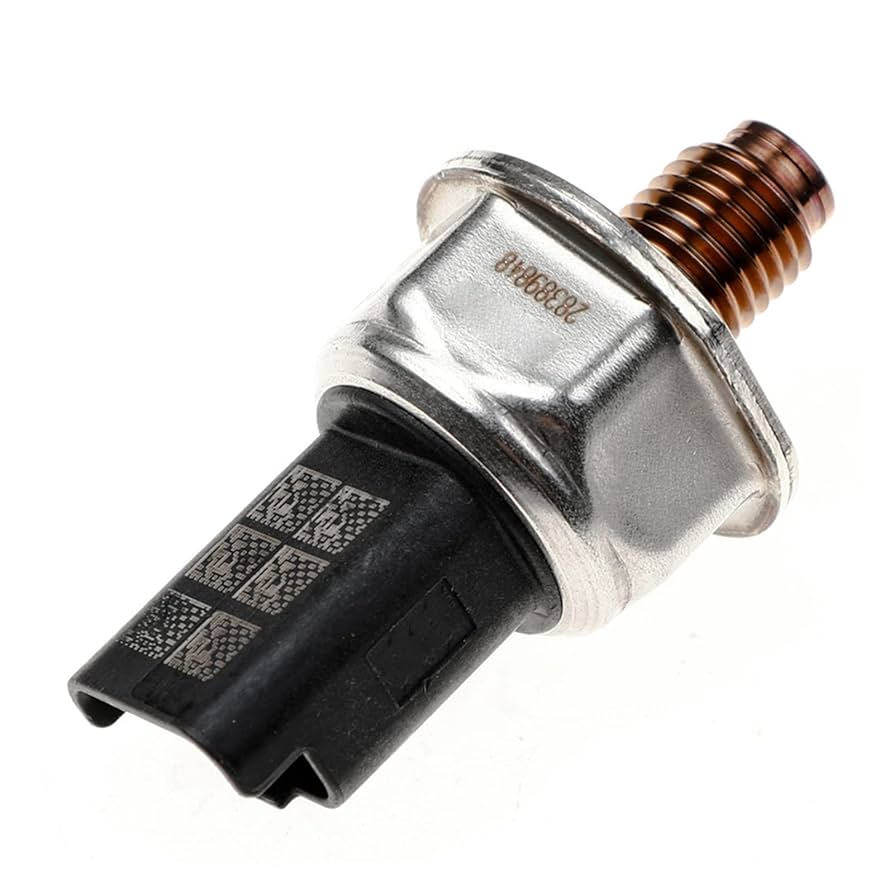 ぱお 61ndHmi9tIL._UF894,1000_QL80_.jpg