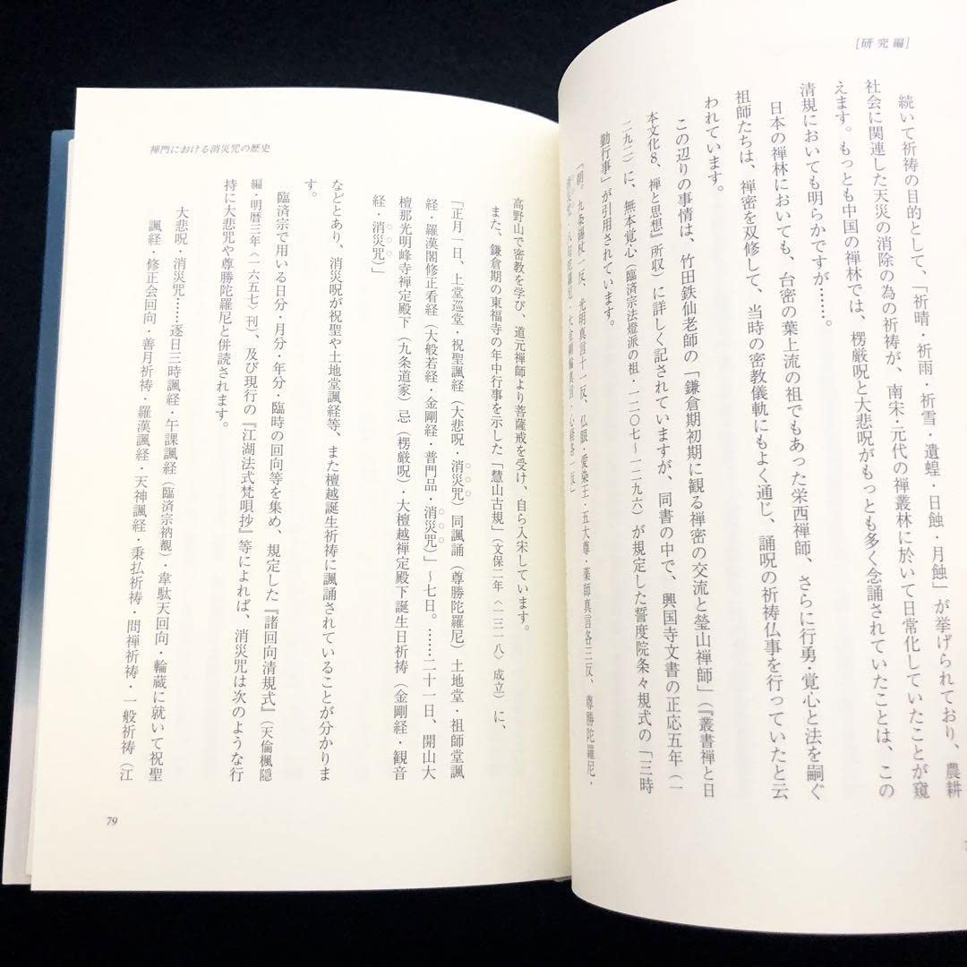 消災呪とは何か - 禅宗と祈祷 Amazon.co.jp: 「消災咒とは何か - 禅宗と祈祷」青山社 : ホーム＆キッチン
