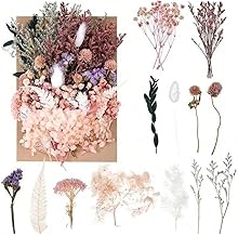 OUDQFCJ Set di Fiori Secchi per DIY Creativo, Resina, Scrapbooking, Artigianato e Creazione di Biglietti - Fiori Essiccati Decorativi per Lavoretti (Stile 4)