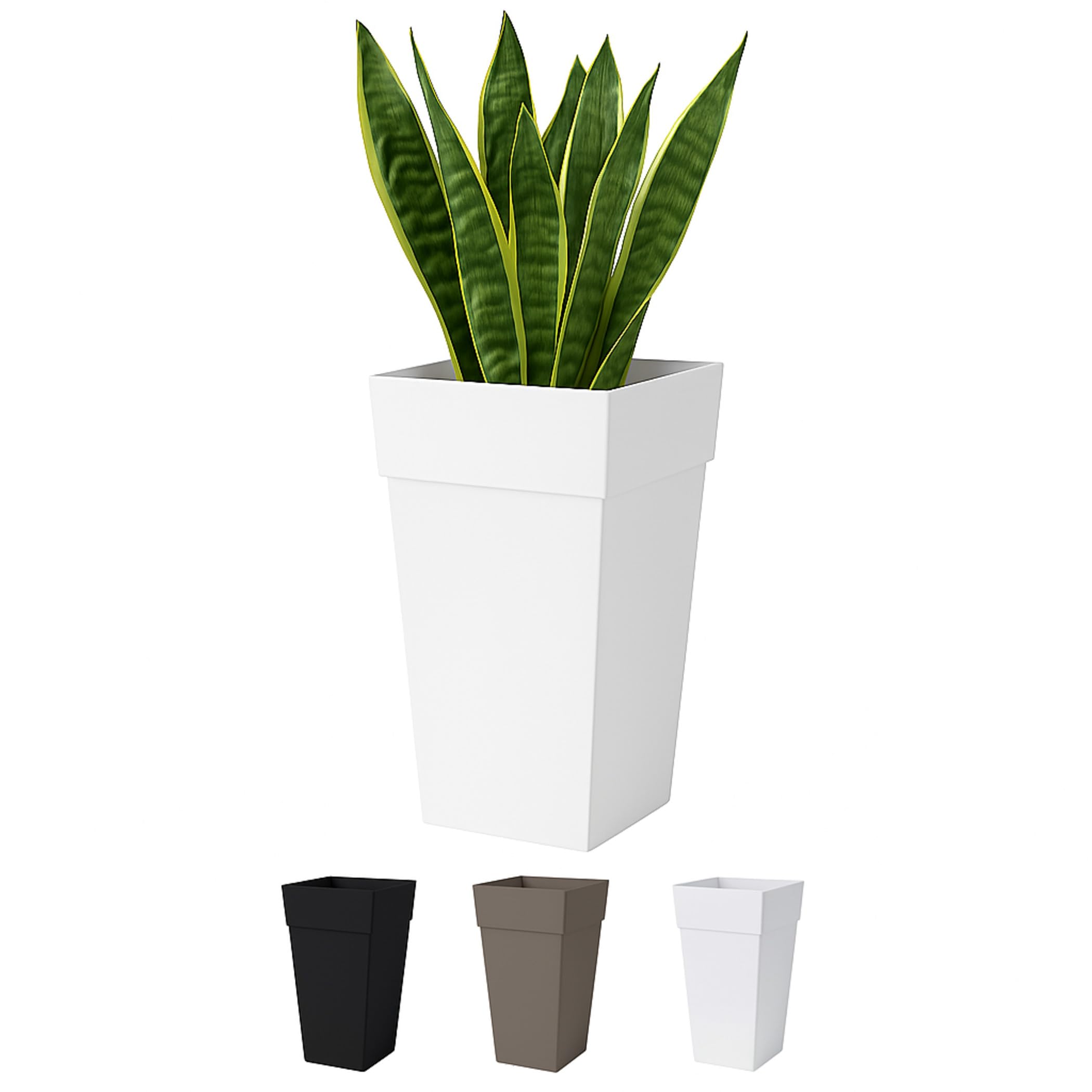 SRL TAPERED-L P-PLANT POT valiem カタチ製作所 Bloem Tall Finley Tapered Square Planter: 25