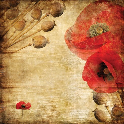 JP London MD4A000 Vintage Zoe Grunge Tapestry Poppy Red Floral Fully Removable Prepasted Wall Mural at 6-Feet High by 6-Feet Wide