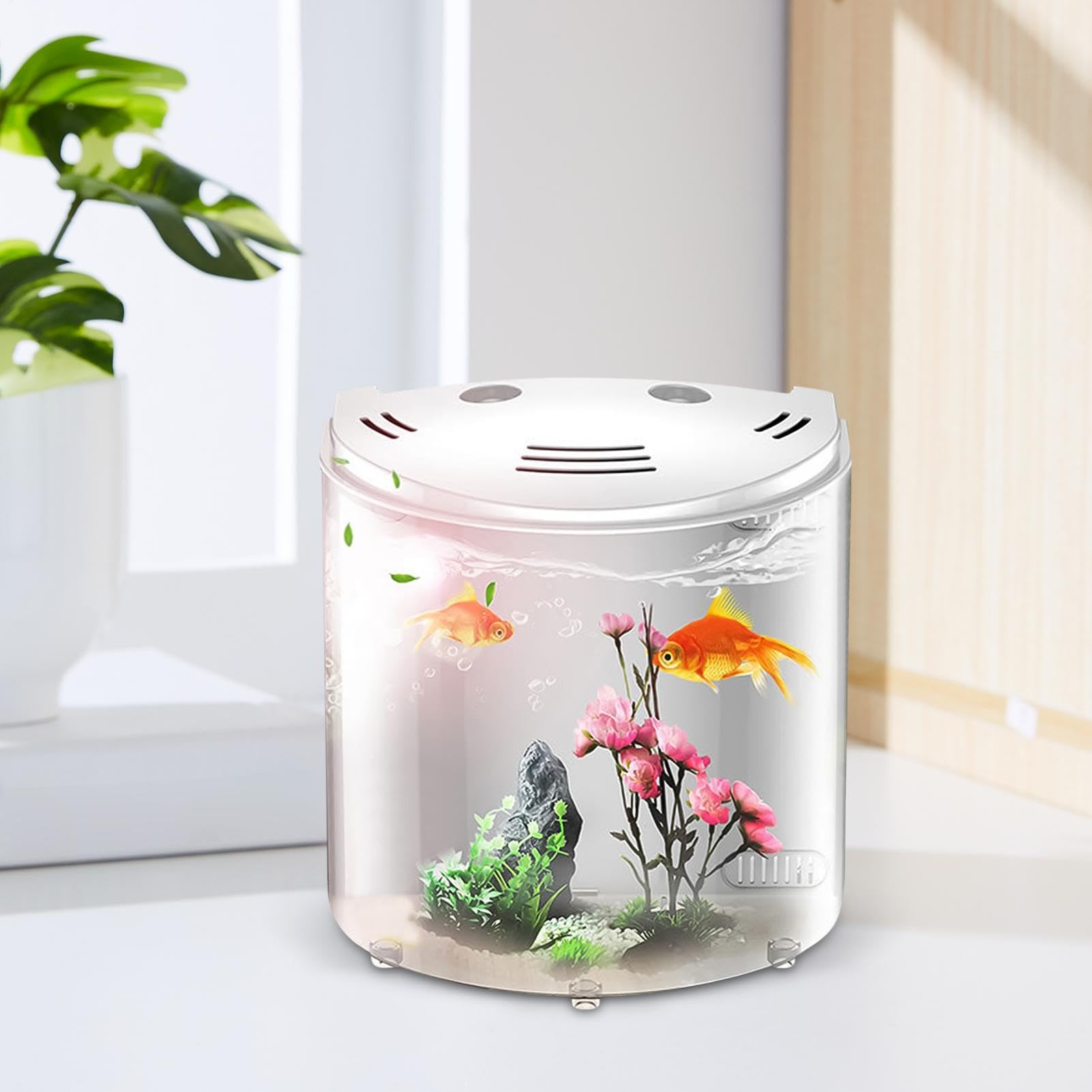 Acuario Betta - Acuario acrílico pequeño, 20 x 14 x 21 cm | depósito transparente abierto de 180 °, filtro de bomba de agua USB de alta definición, luz LED para monos marinos de escrito