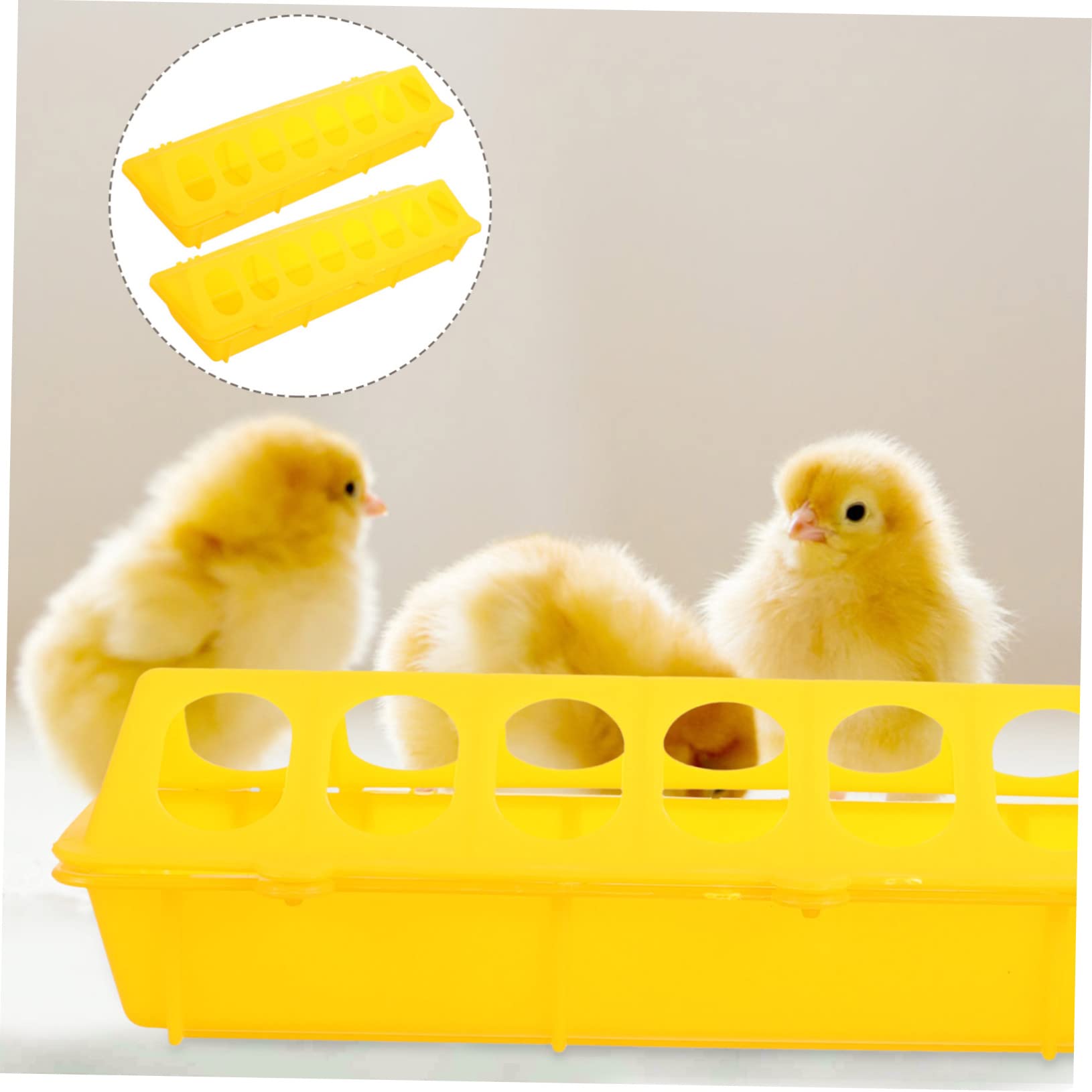 POPETPOP 4pezzi Mangiatoia Per Contenitori Per e Spill Duraturi Per Pappagalli e Pollame Facile e Utilizzare