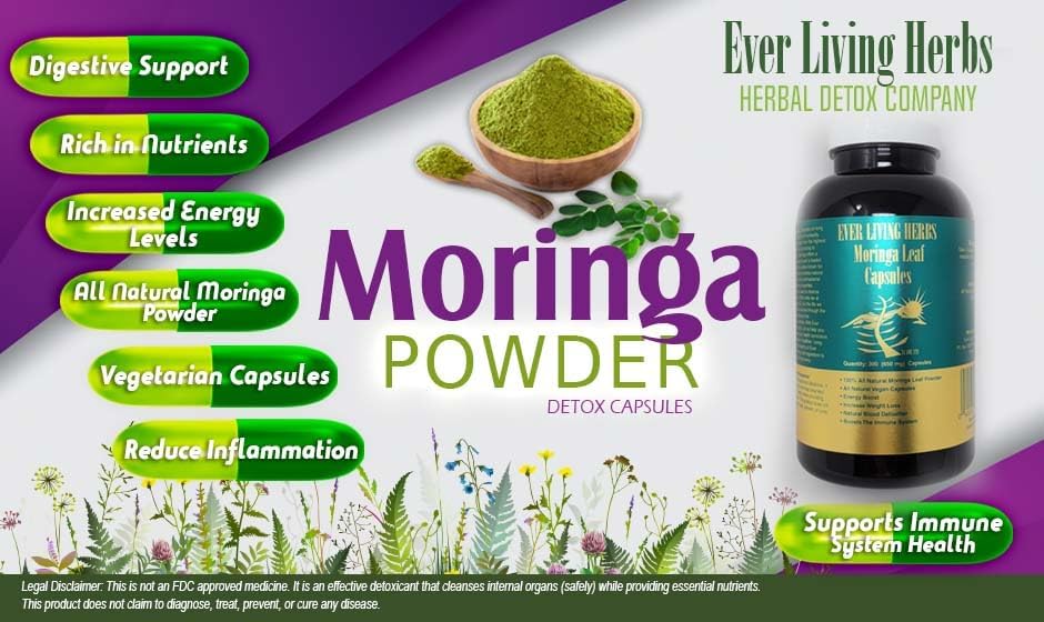 Miniatura 3 de Ever Living Herbs Hoja de Moringa 300 Cápsulas