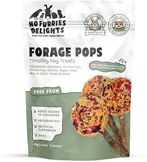 Treats, 100% All Natural Forage Pops for Rabbit Hamster Guinea Pig Chinchilla Pet Rat Mice Gerbil Bird, Healthy Enrichment Bonding Rewarding Training (Forage Pops 5pcs)