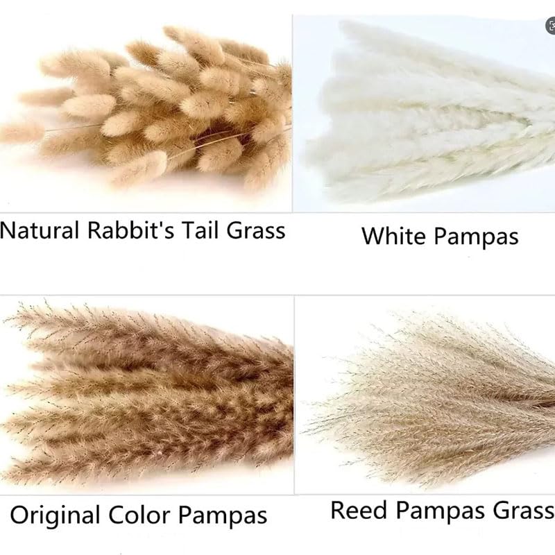 58 PCS Rabbit Tail Grass Flores Secas Estilo Boho miniatura 6