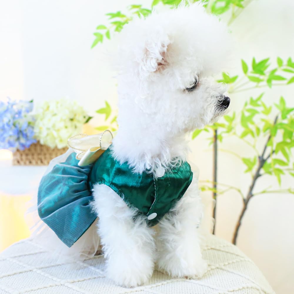 Amazon.com : ANIAC Retro Dog Tulle Dress with Leash Ring Spring Summer Girl  Puppy Clothes for Small Dog Cat Apparel Formal Pet Prom Dress for Christmas  Wedding Birthday Valentines (Green,Medium) : Pet
