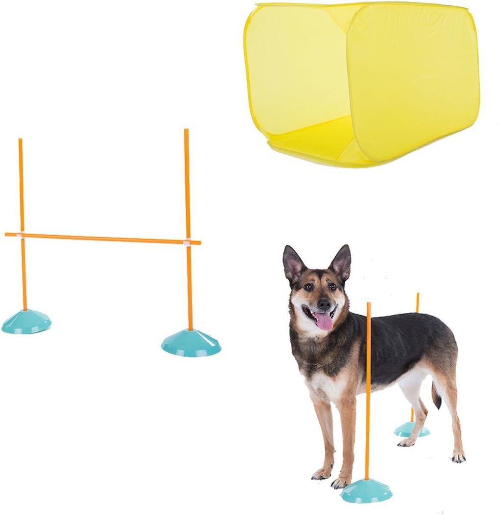 Dog Agility Starter Kit Indoor