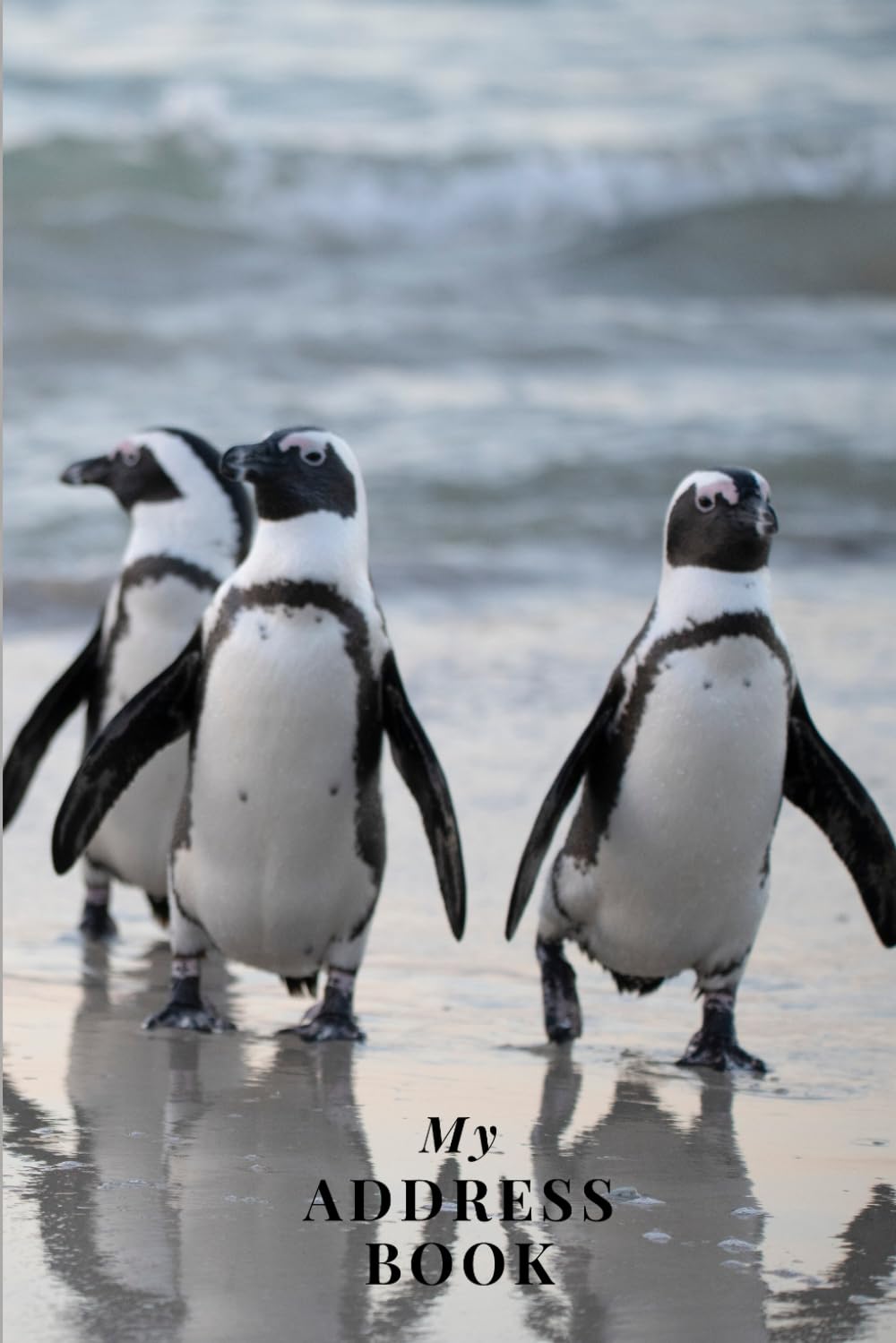 My Address Book: Penguin Cover | Address Book for Names, Addresses, Phone Numbers, E-mails and Birthdays