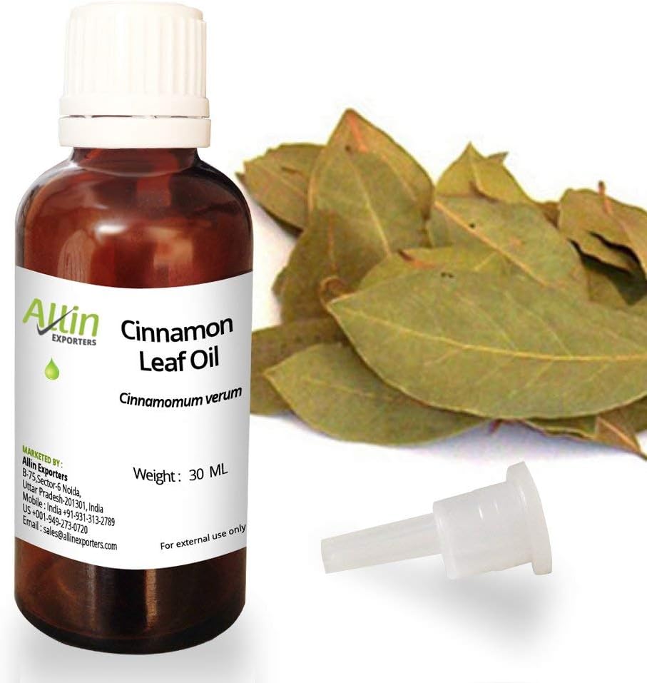Allin Exporters Cinnamon Leaf Oil - 100% Pure, Natural & Undiluted - 30 ML