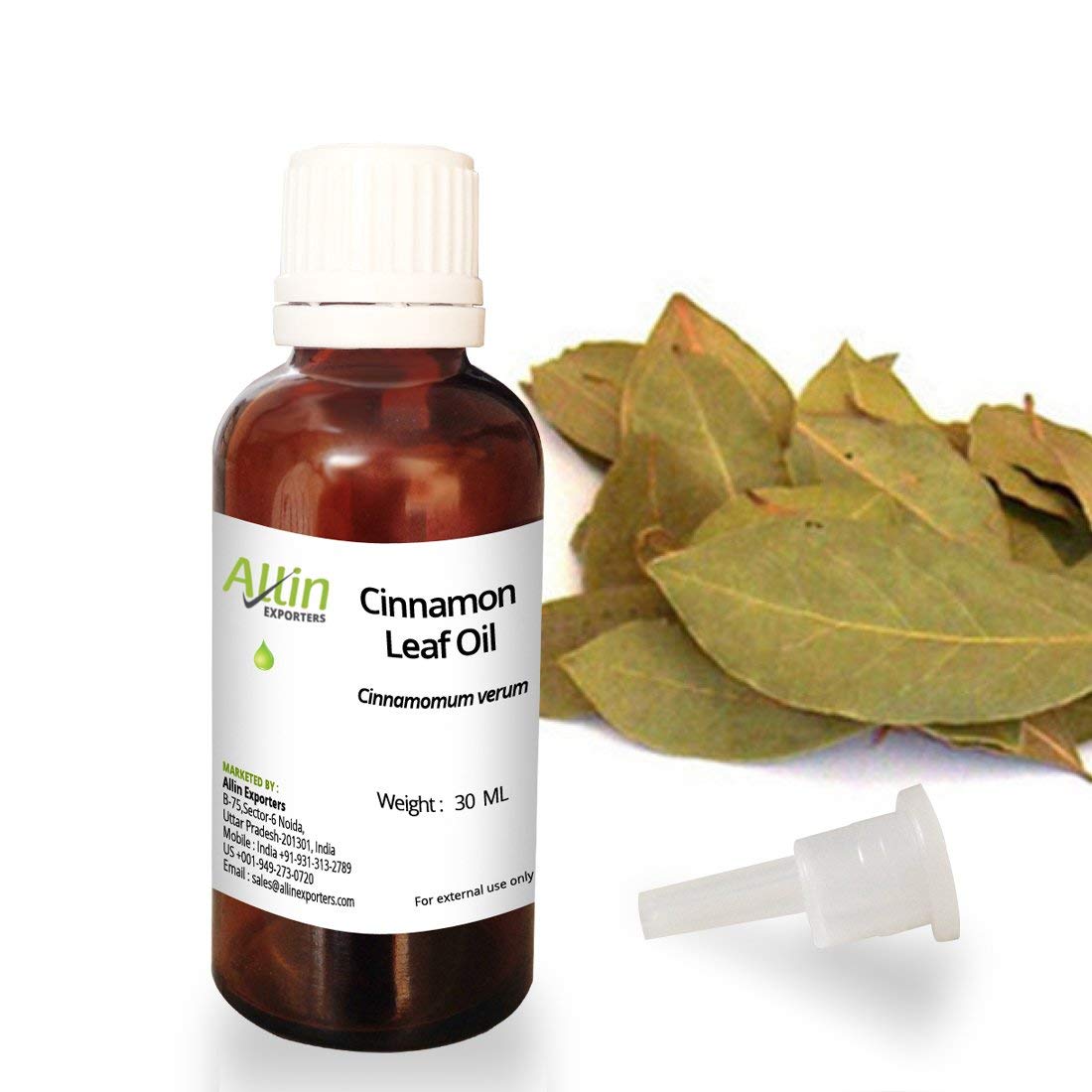 Allin Exporters Cinnamon Leaf Oil - 100% Pure, Natural & Undiluted - 30 ML