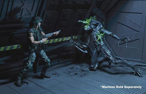 Miniatura 2 de NECA - Figura de acción a escala de Aliens 7" - Serie 12 Xenomorph Warrior Blue (Battle Damaged)