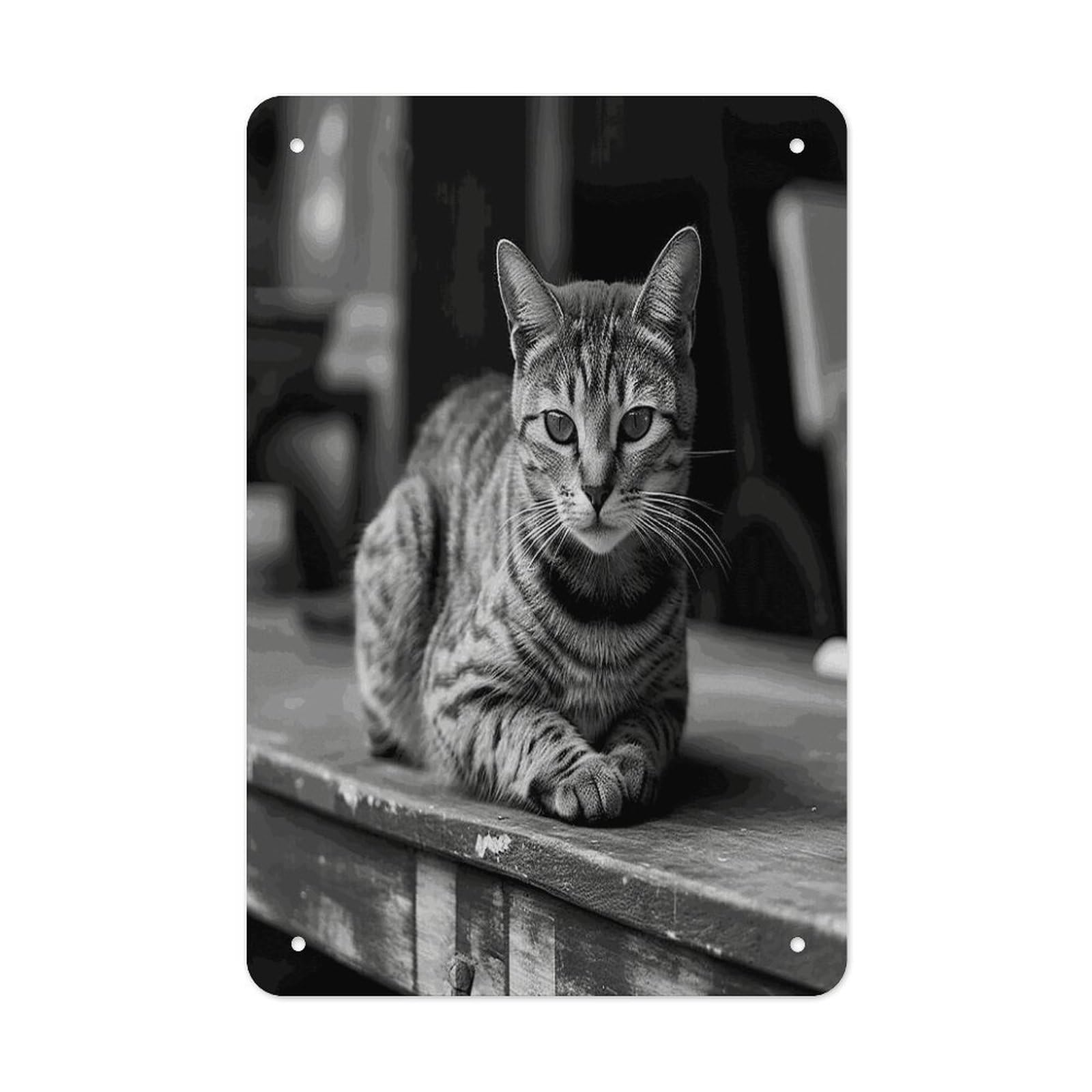 Btcowzrv Style A Gray Cat Metal Tin Sign Wall Decor Hanging Plaque