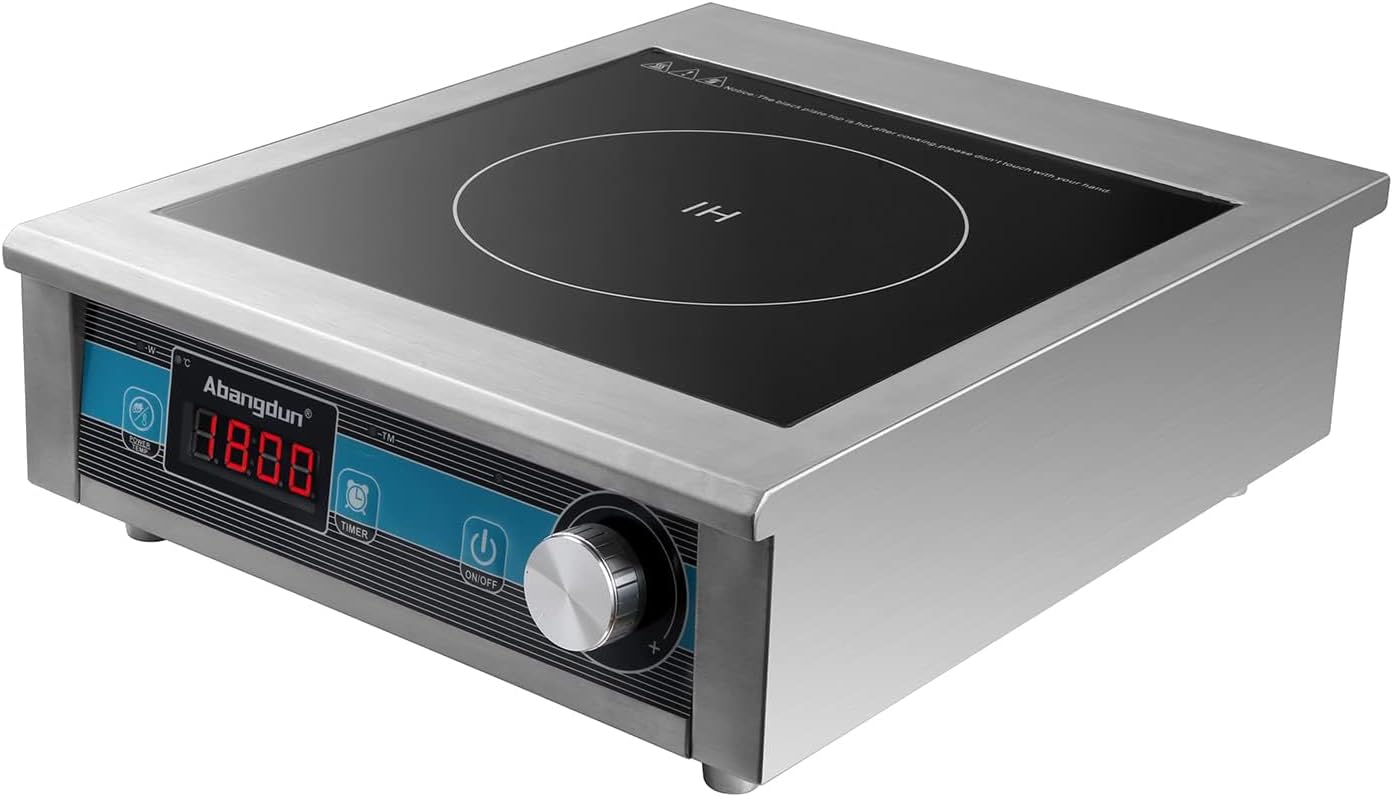 Plat Chauffant Broil King NWT-1S – 300W, Inox, Professionnel