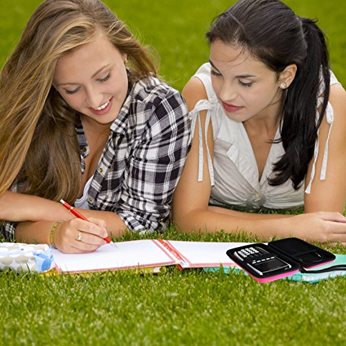 Guerrilla Hard Travel Case For Ti-83 Plus, Ti-84 Plus, Ti-84 Plus Color Edition, Ti-89 Titanium, Ti-Nspire Cx&Cx Cas, Hp50G Graphing Calculators + Guerrilla's Essential Calculator Accessory Kit, Pink #TOP3